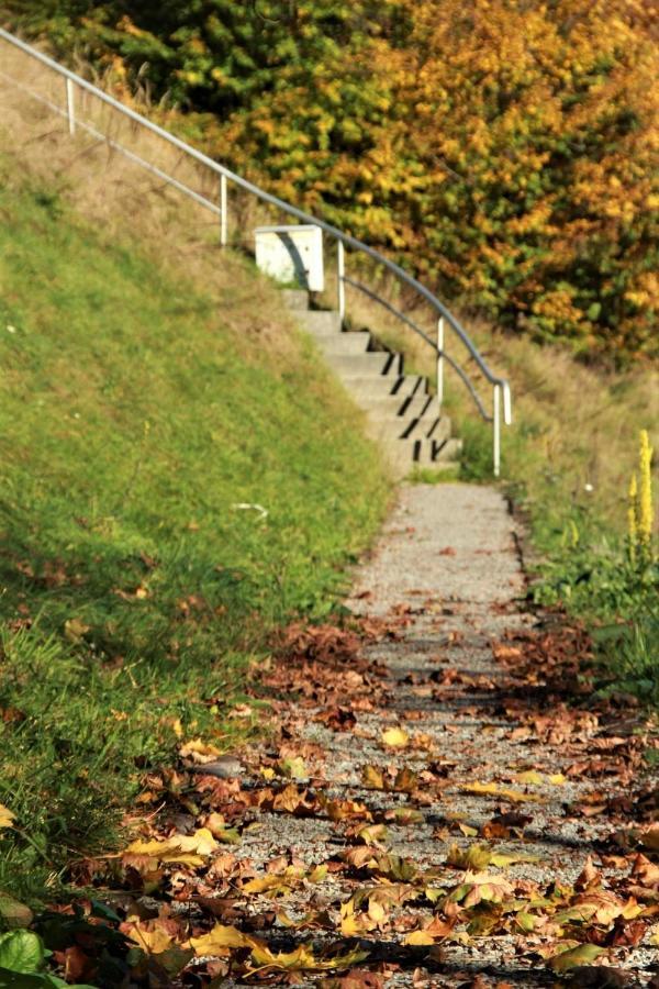 Letniskowa 10 Villa Czernichow  Kültér fotó