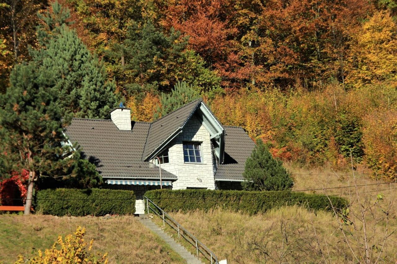 Letniskowa 10 Villa Czernichow  Kültér fotó