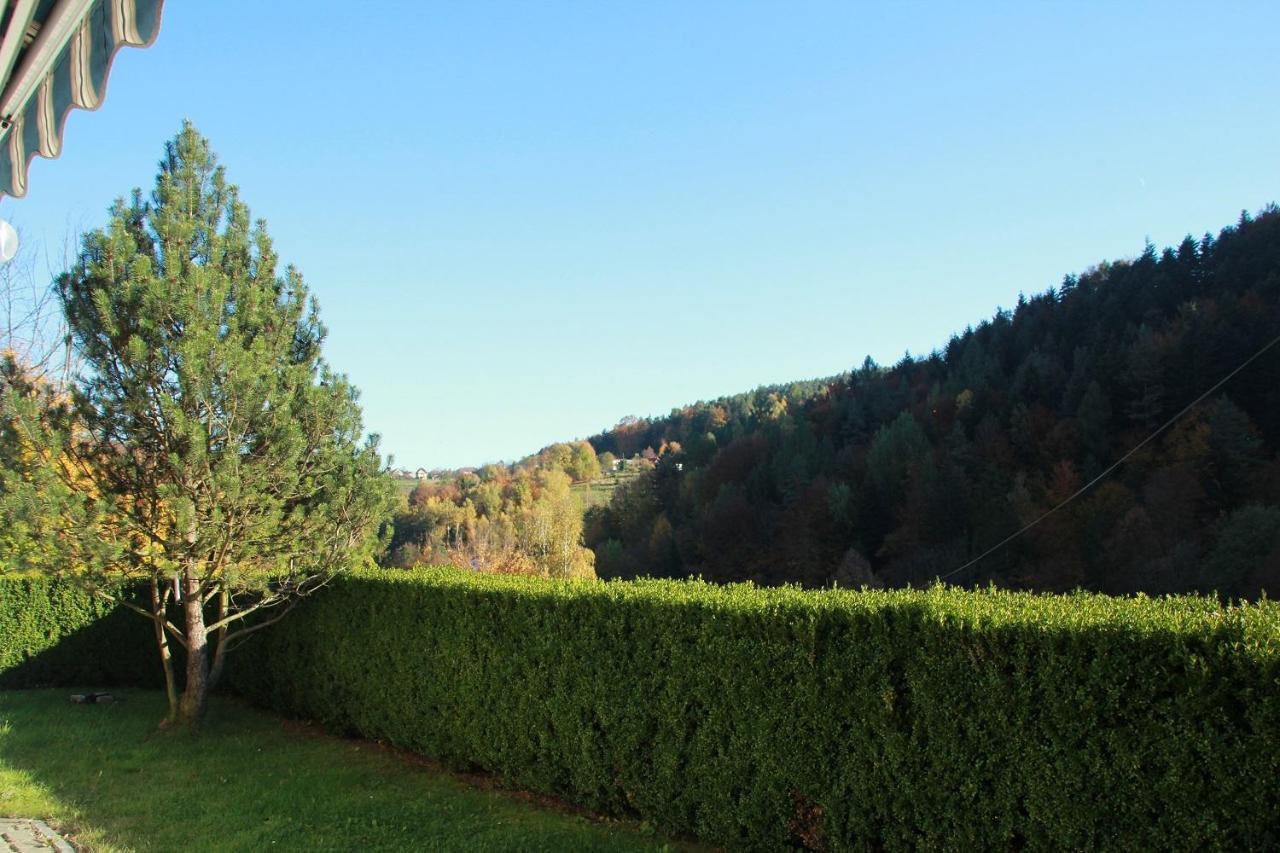 Letniskowa 10 Villa Czernichow  Kültér fotó