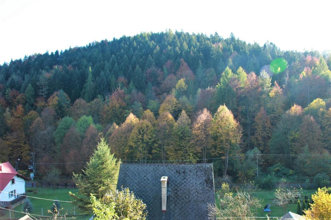 Letniskowa 10 Villa Czernichow  Kültér fotó
